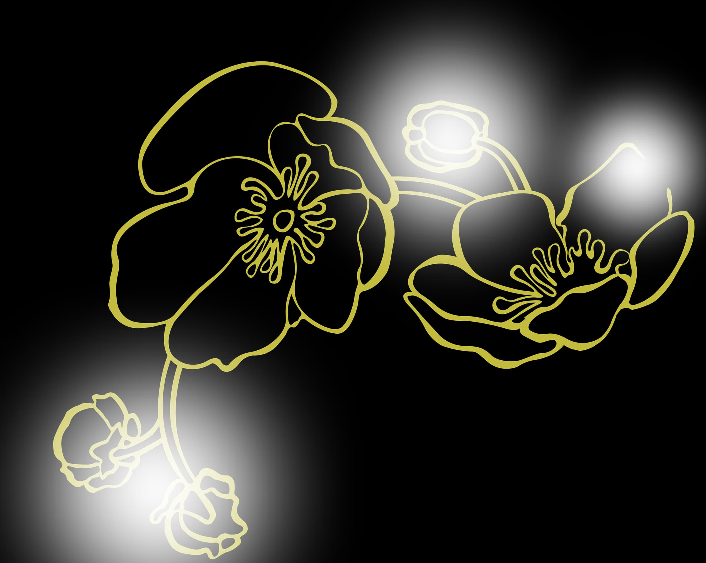 Decorative illustration background