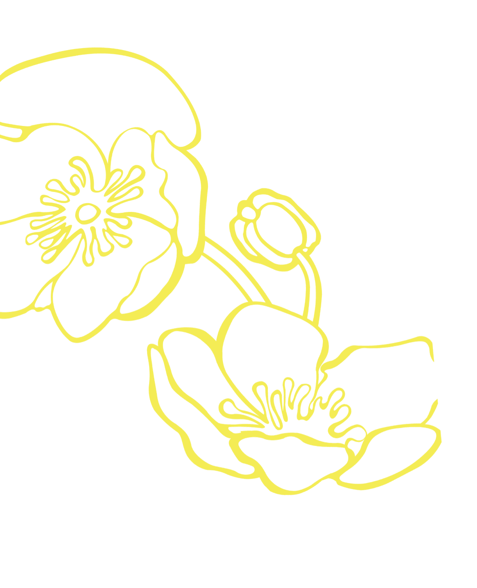 Background decorative pattern
