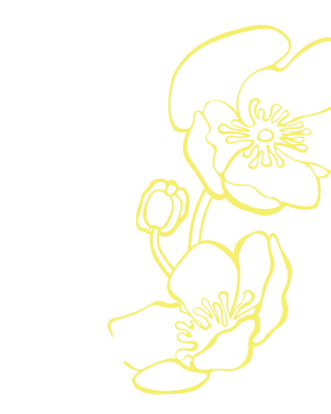Decorative background accent
