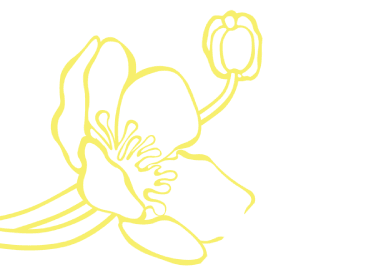 Decorative background accent