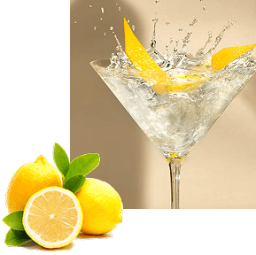 Hard Lemonade fruit ingredients