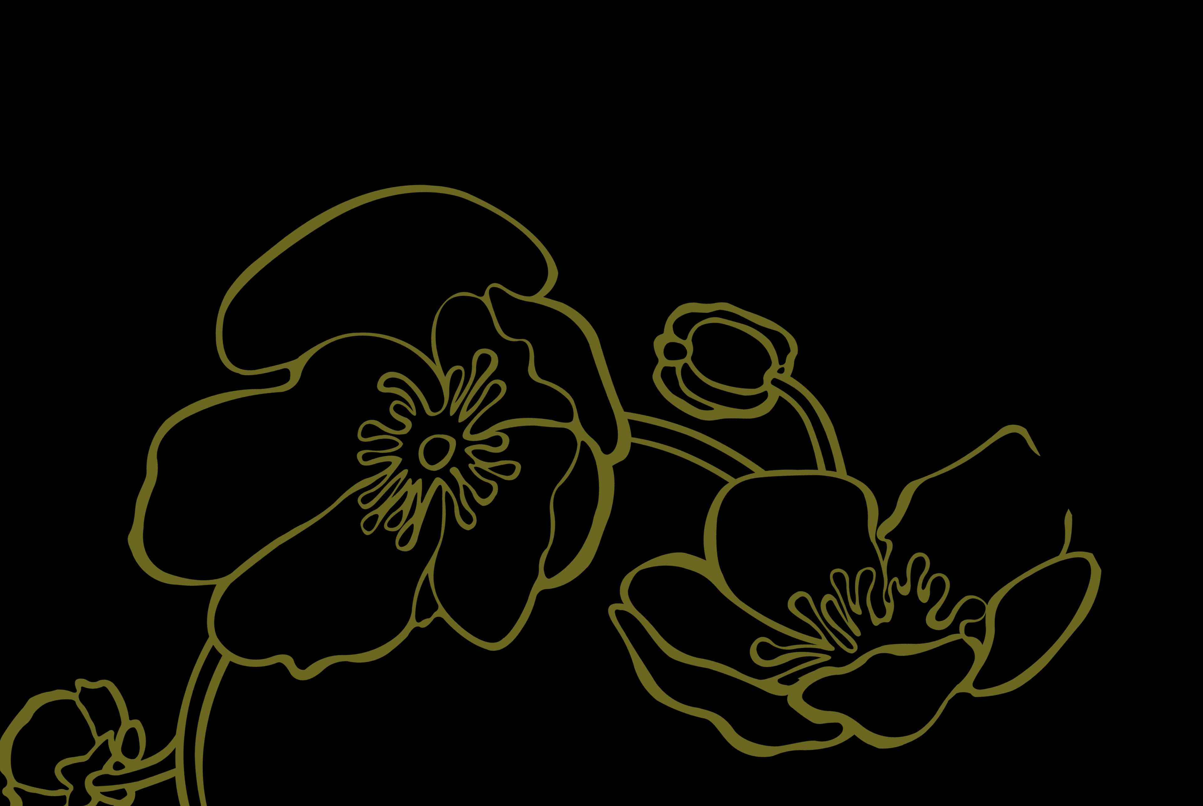 Waitlist background illustration