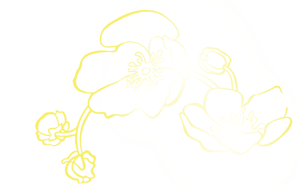 Decorative brewing graphic