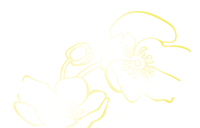 Decorative brand graphic